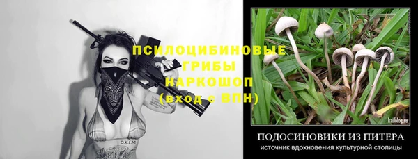 гидропоника Балабаново