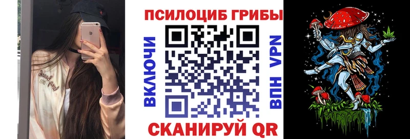 mega зеркало  Купино  Галлюциногенные грибы GOLDEN TEACHER 